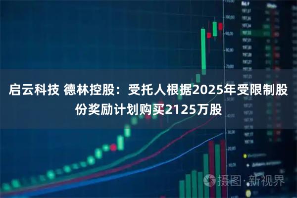 启云科技 德林控股：受托人根据2025年受限制股份奖励计划购买2125万股