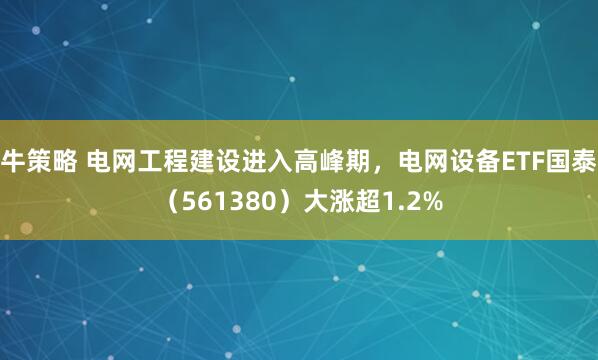 牛策略 电网工程建设进入高峰期，电网设备ETF国泰（561380）大涨超1.2%