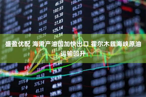 盛盈优配 海湾产油国加快出口 霍尔木兹海峡原油运输回升