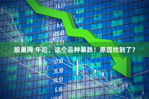 股巢网 午后，这个品种暴跌！原因找到了？
